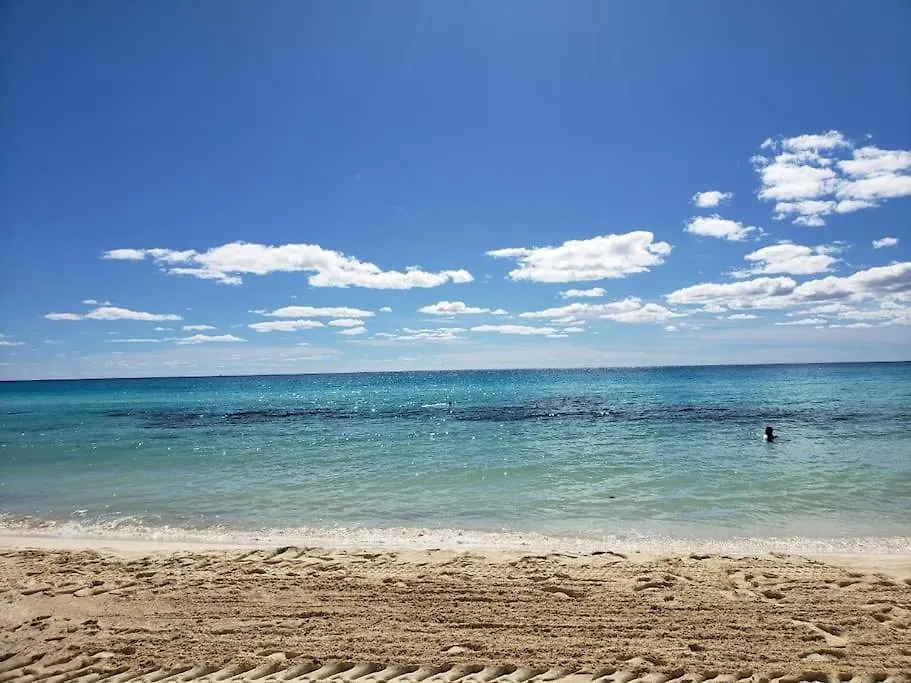 Apartamento Micro Studio Perfect For Backpackers, Couples, 3 Min Drive To Playa El Nino Cancún México